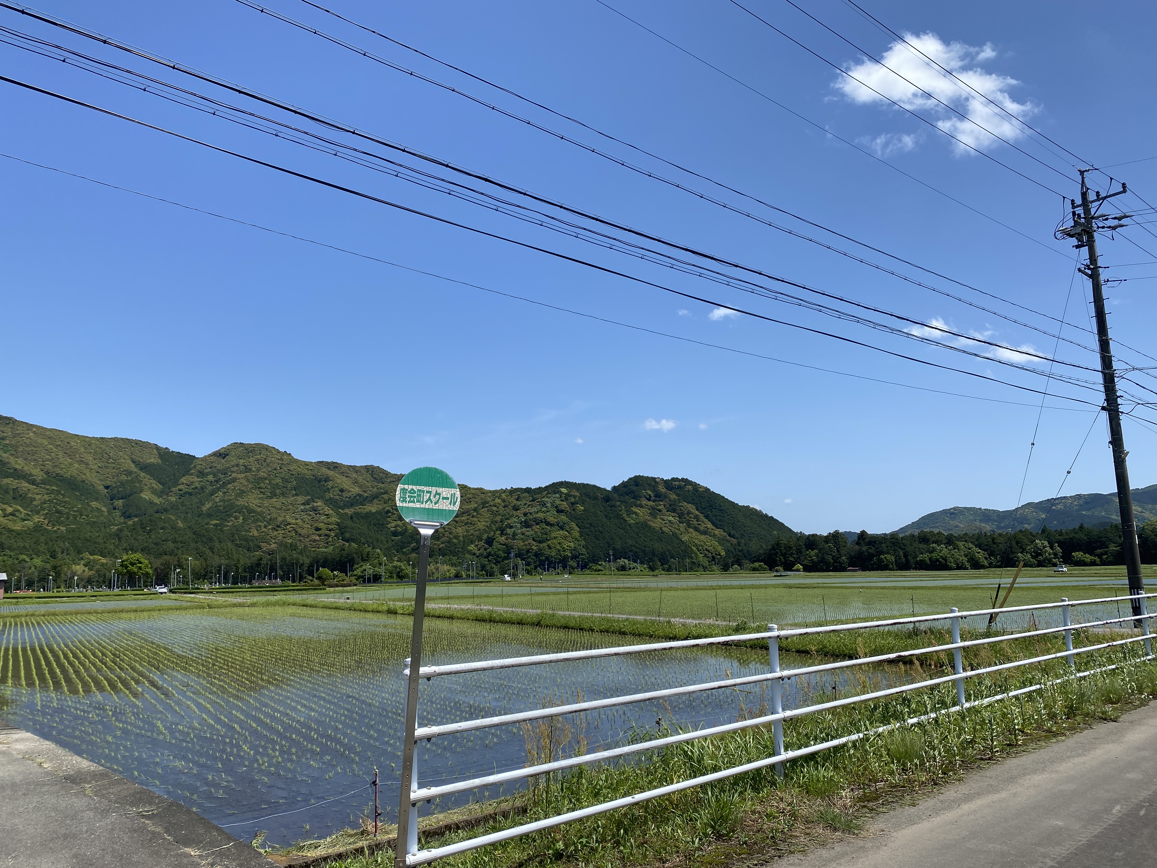道中ののどかな田園風景